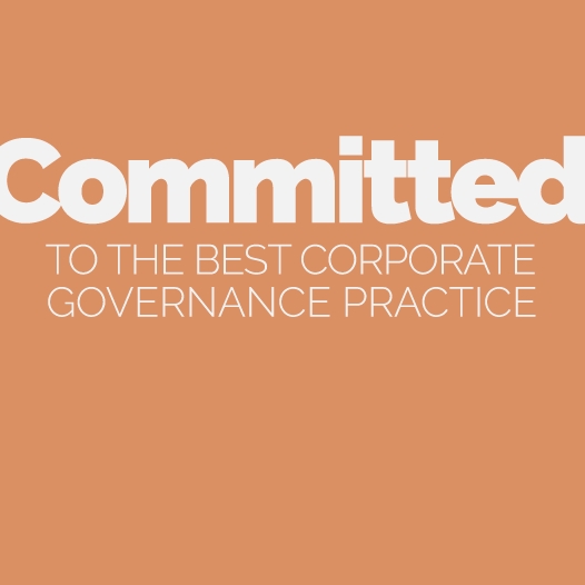 Our Corporate Governance Approach