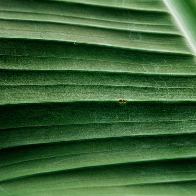 A Word on Sustainability