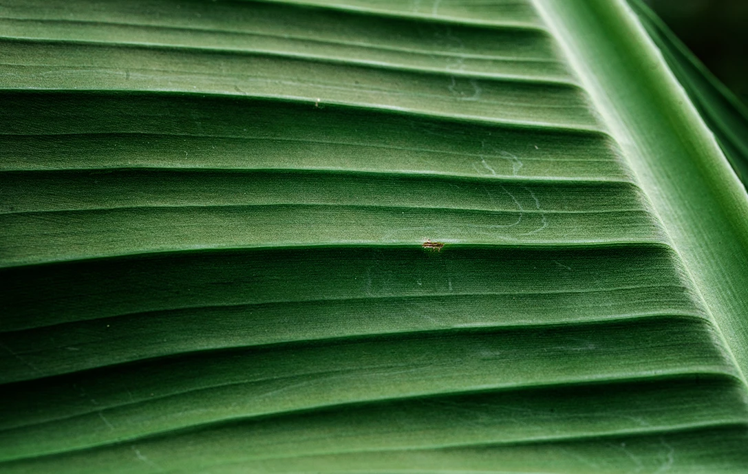 A Word on Sustainability